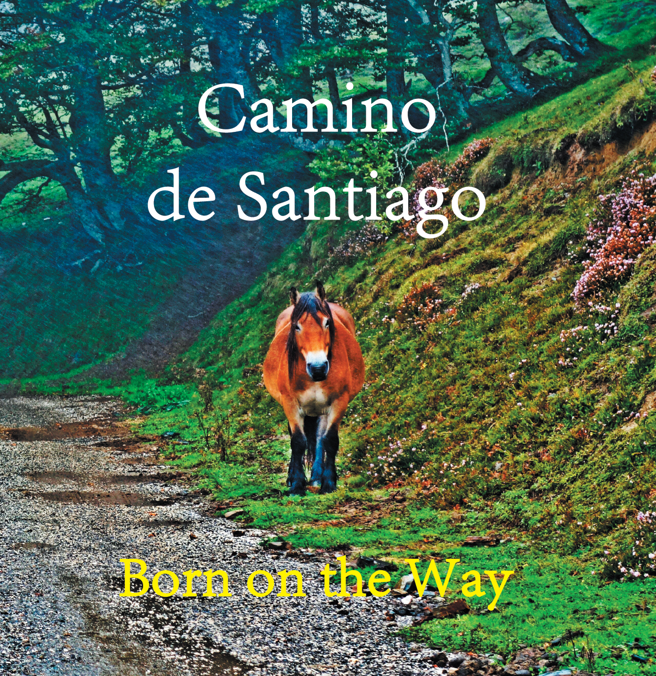 Camino de Santiago