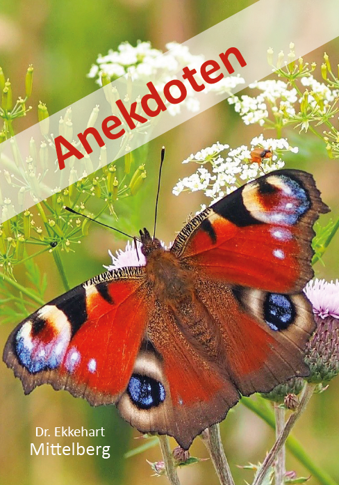 Anekdoten