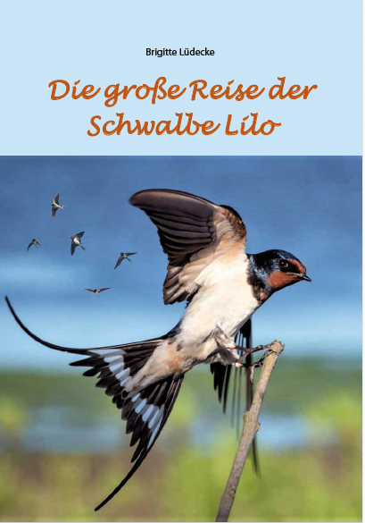 Die große Reise der Schwalbe Lilo
