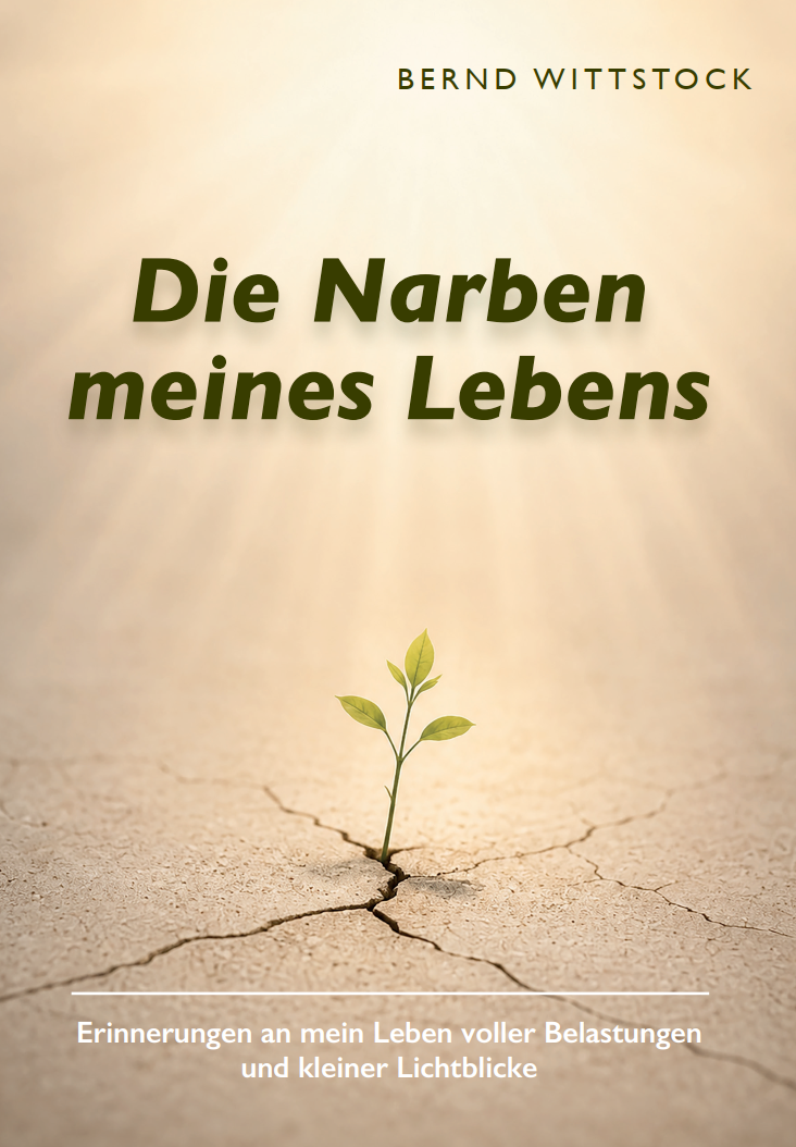 Die Narben meines Lebens - Erinnerungen an mein Leben voller Belastungen und kleiner Lichtblicke