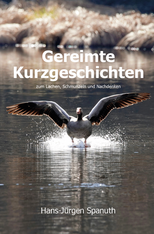 Gereimte Kurzgeschichten - zum Lachen, Schmuzeln und Nachdenken