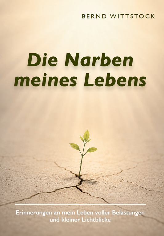 Die Narben meines Lebens - Erinnerungen an mein Leben voller Belastungen und kleiner Lichtblicke